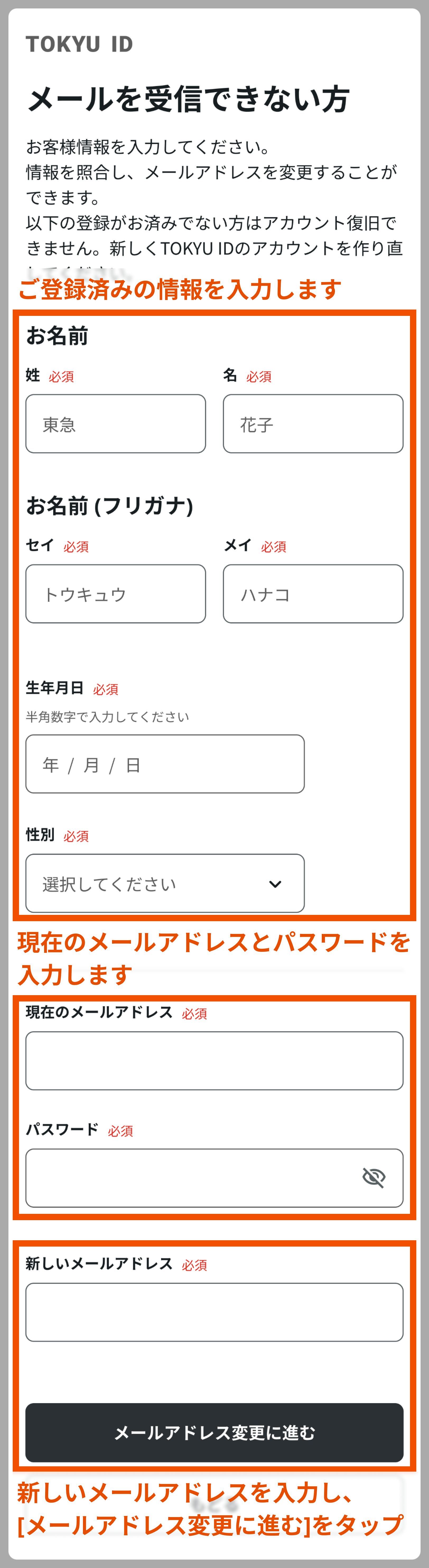 email_reset_input_info.png